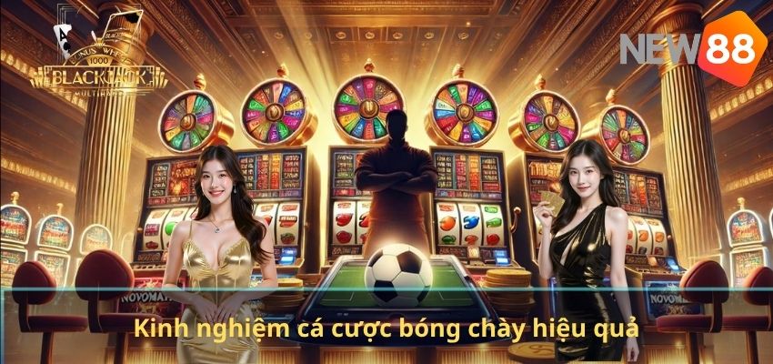 Kinh nghiệm cá cược bóng chày hiệu quả